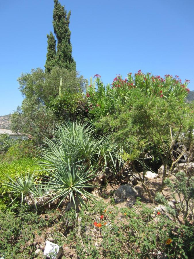 Hotel Belle Vue Le Lavandou Buitenkant foto